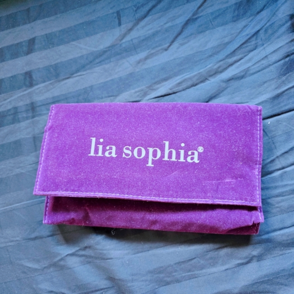 Lia Sophia Rich Purple Velvet Pouch
